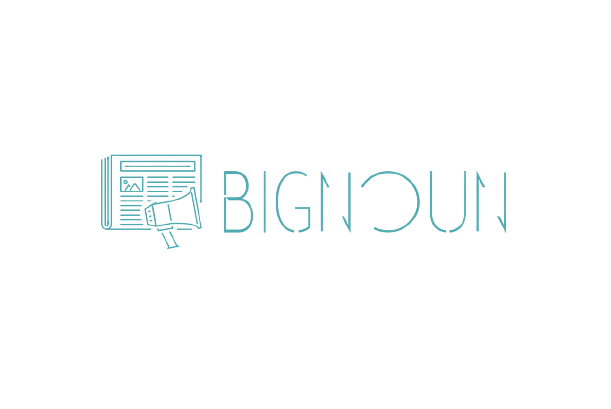 bignoun.com